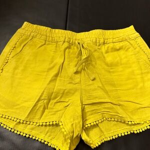 Loft shorts